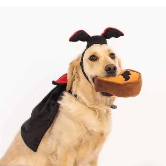 ZippyPaws Dracula Halloween Costume Kit for Dogs (Pets) - Picture 9 of 9